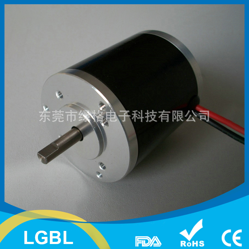 LGBL45 small brushless motor